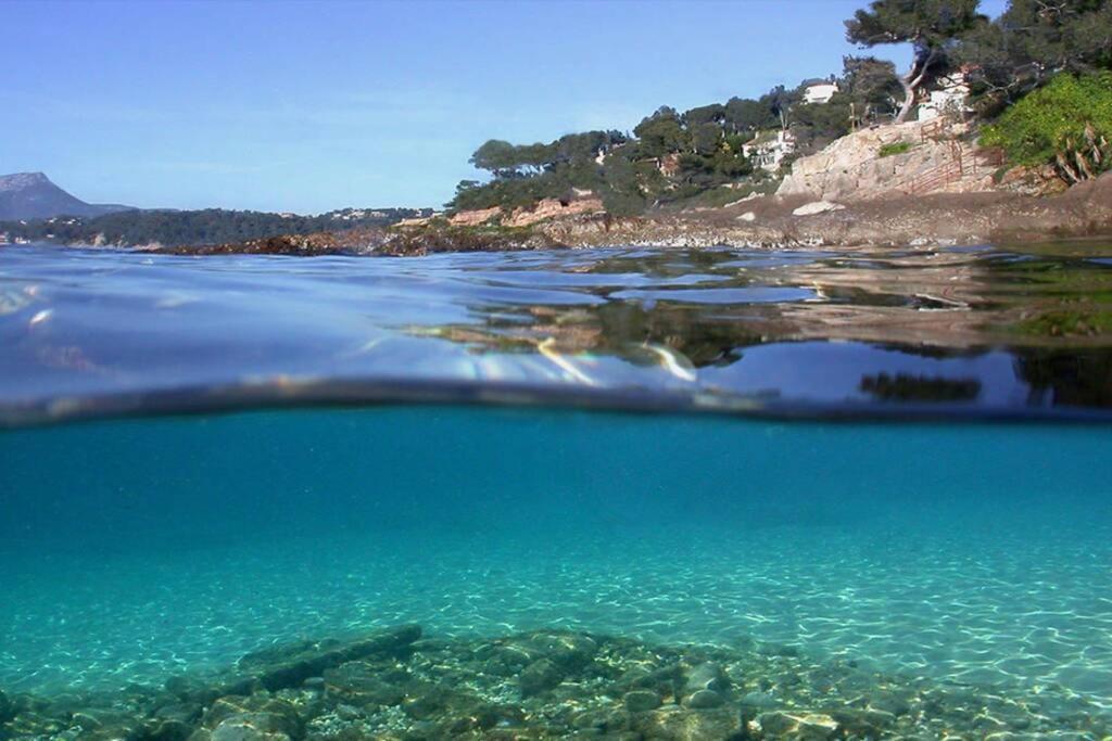 T2 Rez De Proche Bord De * Le Pradet